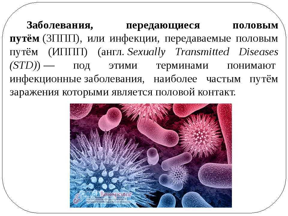 Заболевания ппп презентация