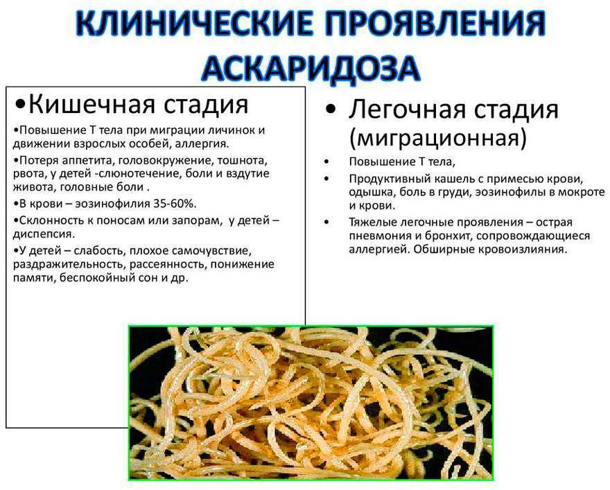 ᐈ как избавиться от глистов? ~【глистная инвазия】