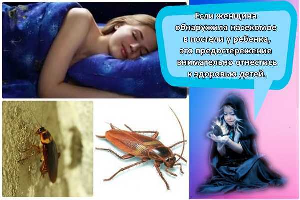К чему снятся тараканы Во сне они символизируют прибыль и проблемы, благополучие и страхи, удачу и опасность Толкование по популярным сонникам и конкретные значения