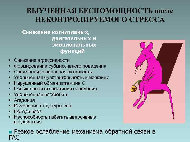 Выученная беспомощность - что это, причины, как победить