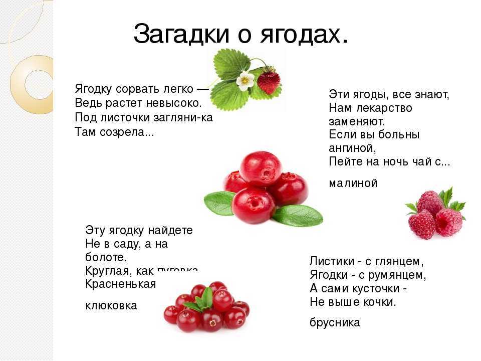 К чему снятся ягоды: спелые, вкусные, чёрные, неизвестные? основные толкования разных сонников — к чему снятся ягоды?