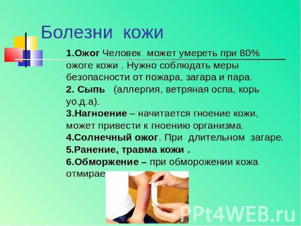 Для чего нужна кожа. Интересные факты о коже. Сообщение о коже. Доклад о коже. Интересные факты о коже человека.