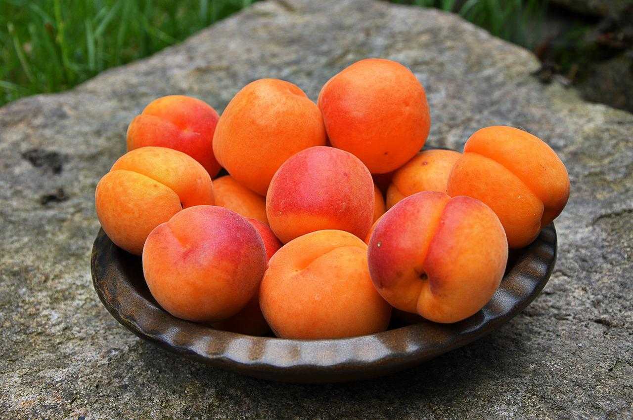 Как интерпретировать сон об абрикосах — 36 значений