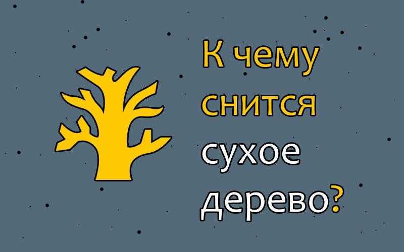 Видеть розы во сне: что это значит, точное толкование по соннику