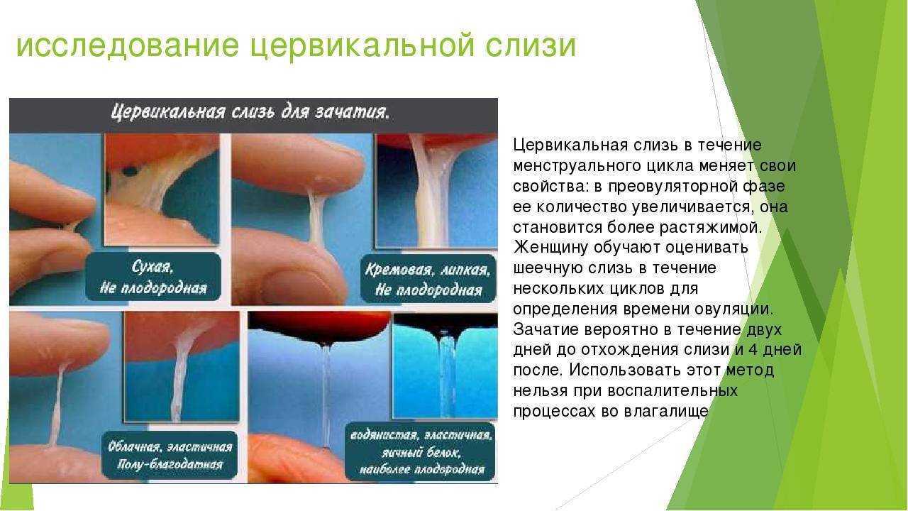 Выделения при овуляции при беременности