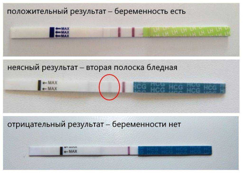 Как выглядит тест на беременность с двумя полосками фото на ранней стадии