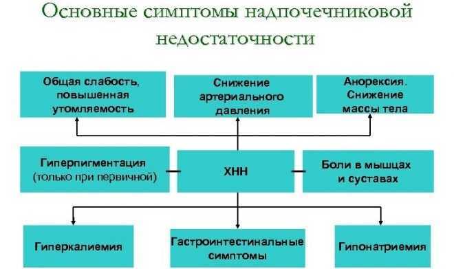 Надпочечная недостаточность симптомы. Хроническая надпочечниковая недостаточность первичная и вторичная. Симптомы надпочечниковой недостаточности. Недостаточность надпочечников симптомы.