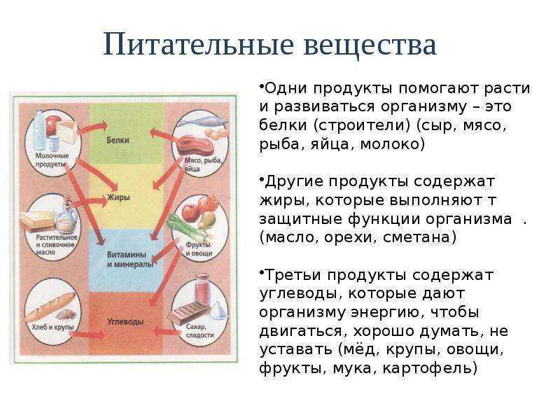 Пища фактор. Влияние питания на здоровье человека. Как питание влияет на здоровье человека. Здоровое питание влияние на организм. Влияние правильного питания на организм человека.