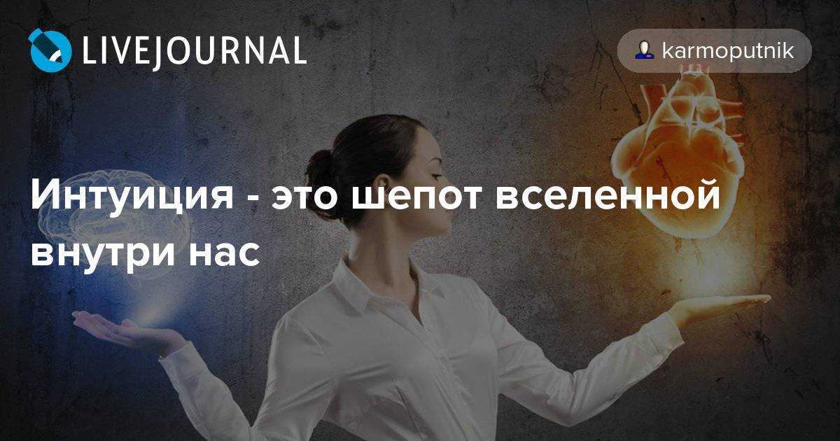 Что такое интуиция и существует ли она на самом деле? разбираемся вместе с учеными