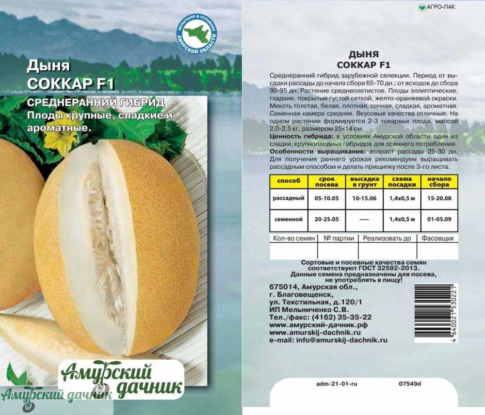 К чему снится дыня мужчинам и женщинам