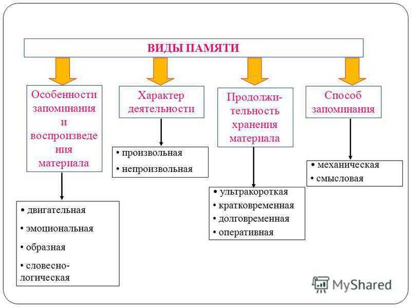 Понятие и виды памяти