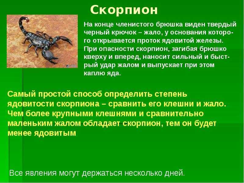 К чему снится говно - самое полное толкование сна