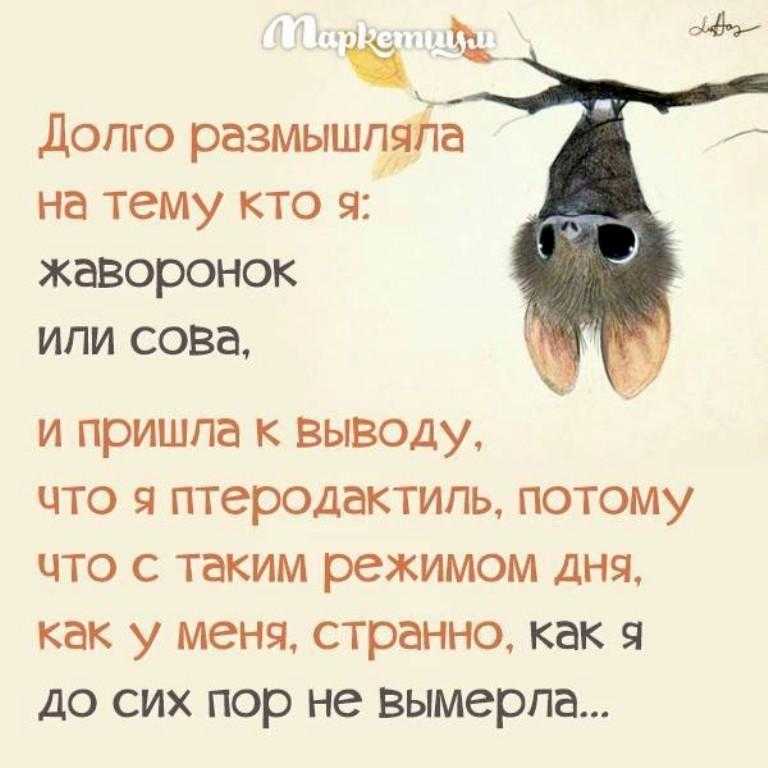 Почему «совы» более продуктивны, чем «жаворонки» - тестостерон