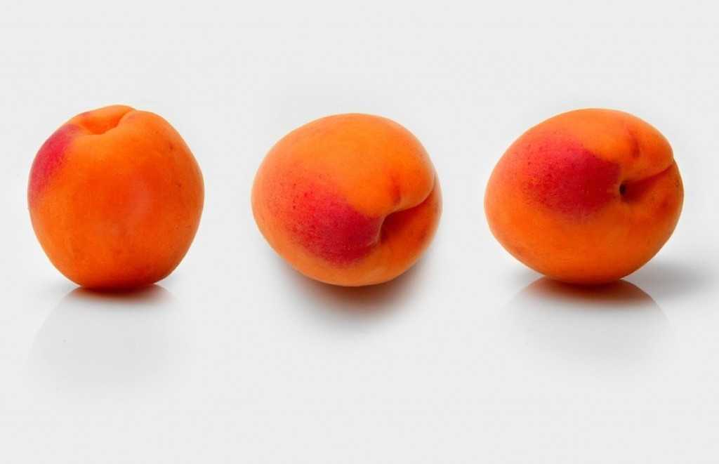 К чему снятся абрикосы 🍊 — топ 36 подробных толкований ✨ по разным сонникам: что означает для мужчины или женщины видеть, есть и собирать во сне спелые плоды с дерева