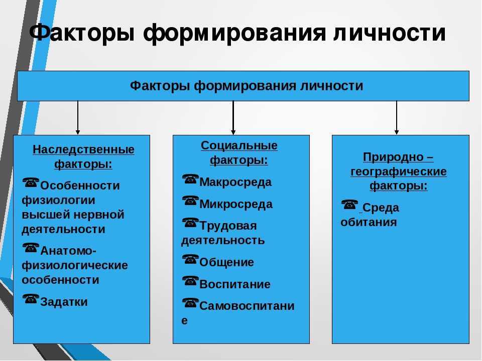 Заполните схему фазы становления личности адаптация индивидуализация