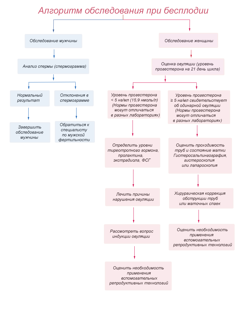 Бесплодие протокол. План обследования женщины при бесплодии. Алгоритм диагностики бесплодия. Методы обследования больных при бесплодии. Схема обследования супружеской пары при бесплодии..