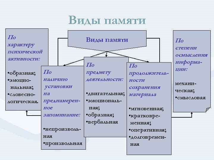 Типы памяти и техники эффективного запоминания