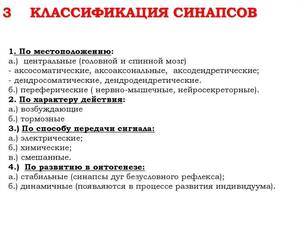 Синапс — большая медицинская энциклопедия