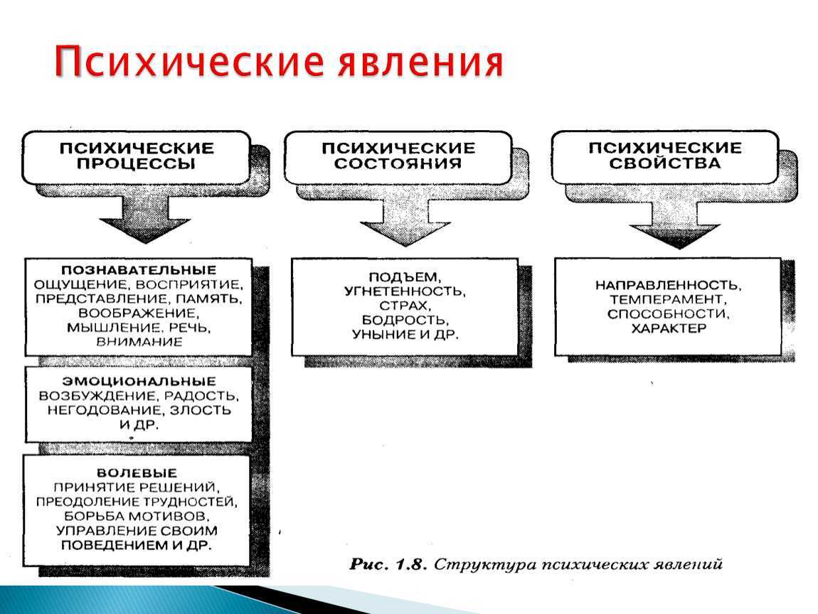 1 по какому методу строится изображения предметов