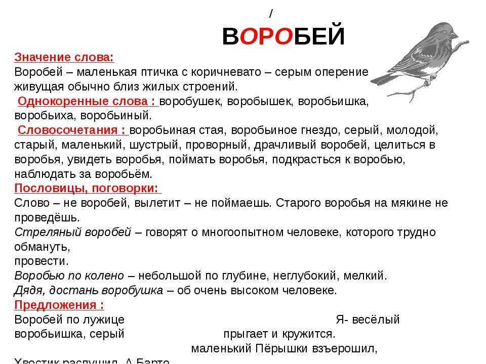 Сонник воробей. к чему снится воробей во сне приснился