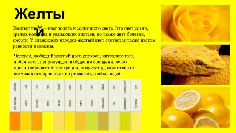 Слово желтый какое это слово. Что символизирует желтый цвет. Желтый цвет символ. Желтый цвет в психологии. Жёлтый цвет значение.