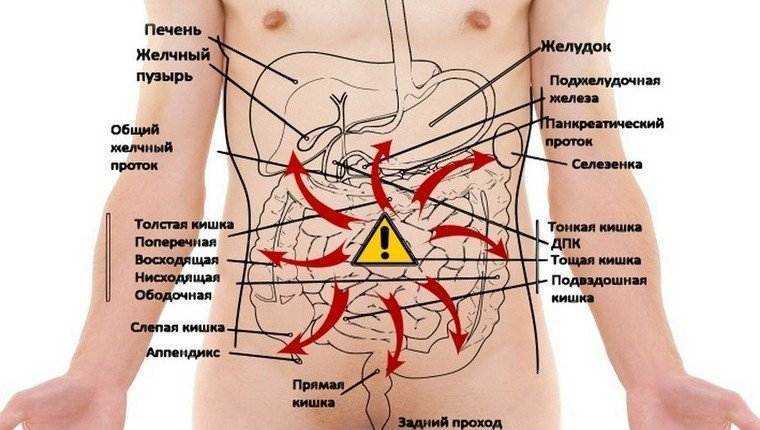 Боль под левым ребром спереди возле желудка