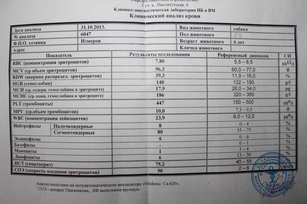 Показатель крови показывающий аллергию