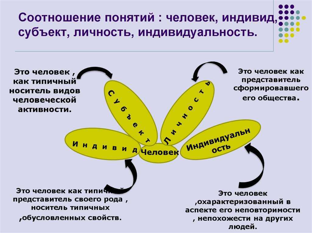 Человек индивид личность взаимосвязь понятий проект