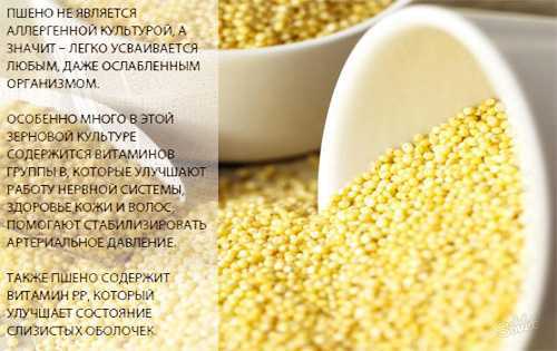 Пшенная каша: польза и вред для организма