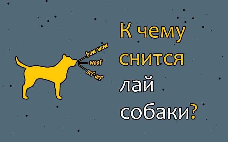 К чему снится много собак. Собака лает. К чему снится собака которая лает. Снится лающая собака. Лай собак во сне это к чему.