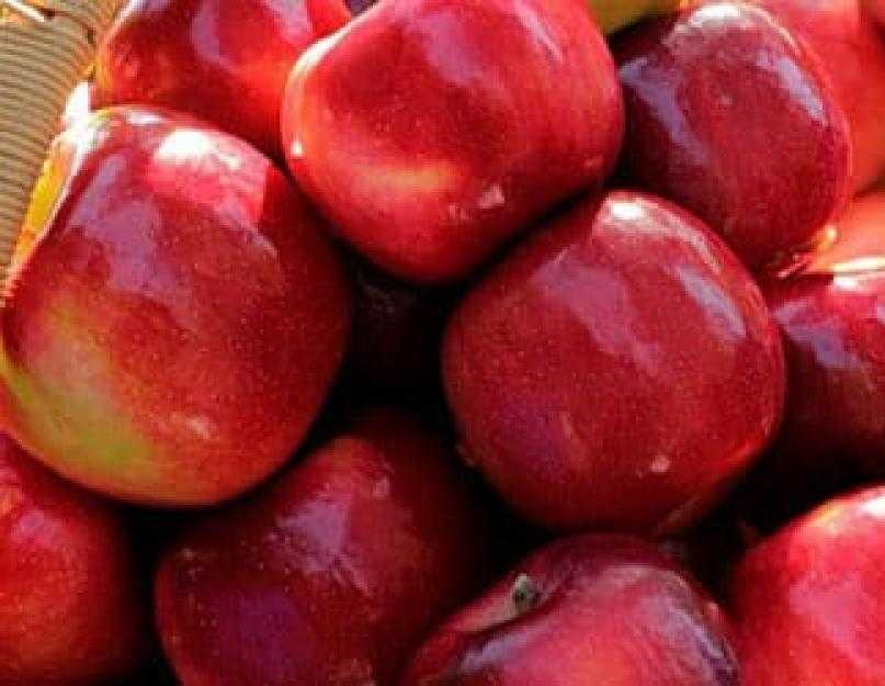К чему снятся видеть яблоки женщине. Красные яблоки во сне. Яблоки во сне для женщины. Сон большие красные яблоки. К чему снится яблоки на дереве красные.