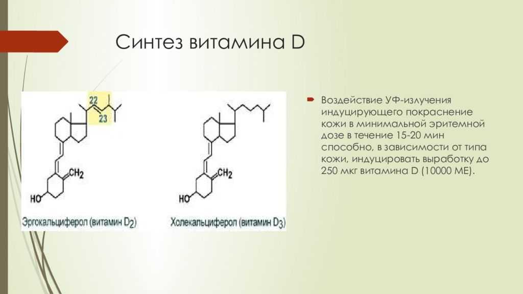 Синтез витаминов в организме. Схема синтеза витамина д3. Синтез витамина д3 биохимия. Схема синтеза витамина д в организме человека. Синтез витамина д3 из холестерина биохимия.