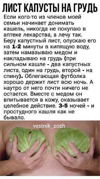 Капуста белокочанная - чем полезна капуста, лечебные свойства