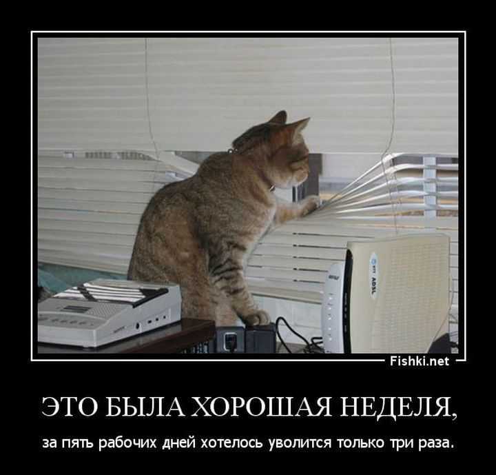 Что такое бисексуальность и какие факторы влияют на развитие бисексуальности