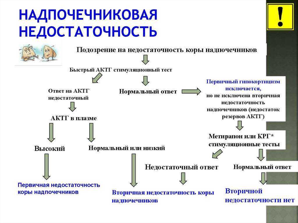Хроническая надпочечниковая недостаточность