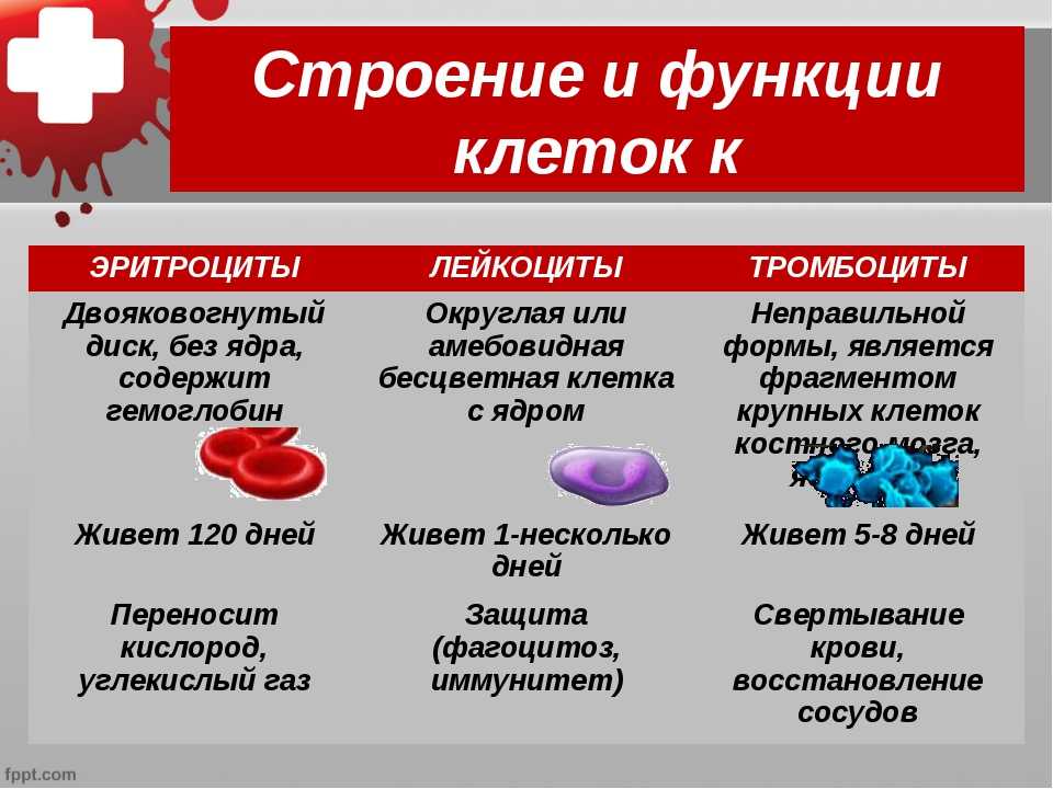 Что чувствует душа сразу после смерти тела? научные факты