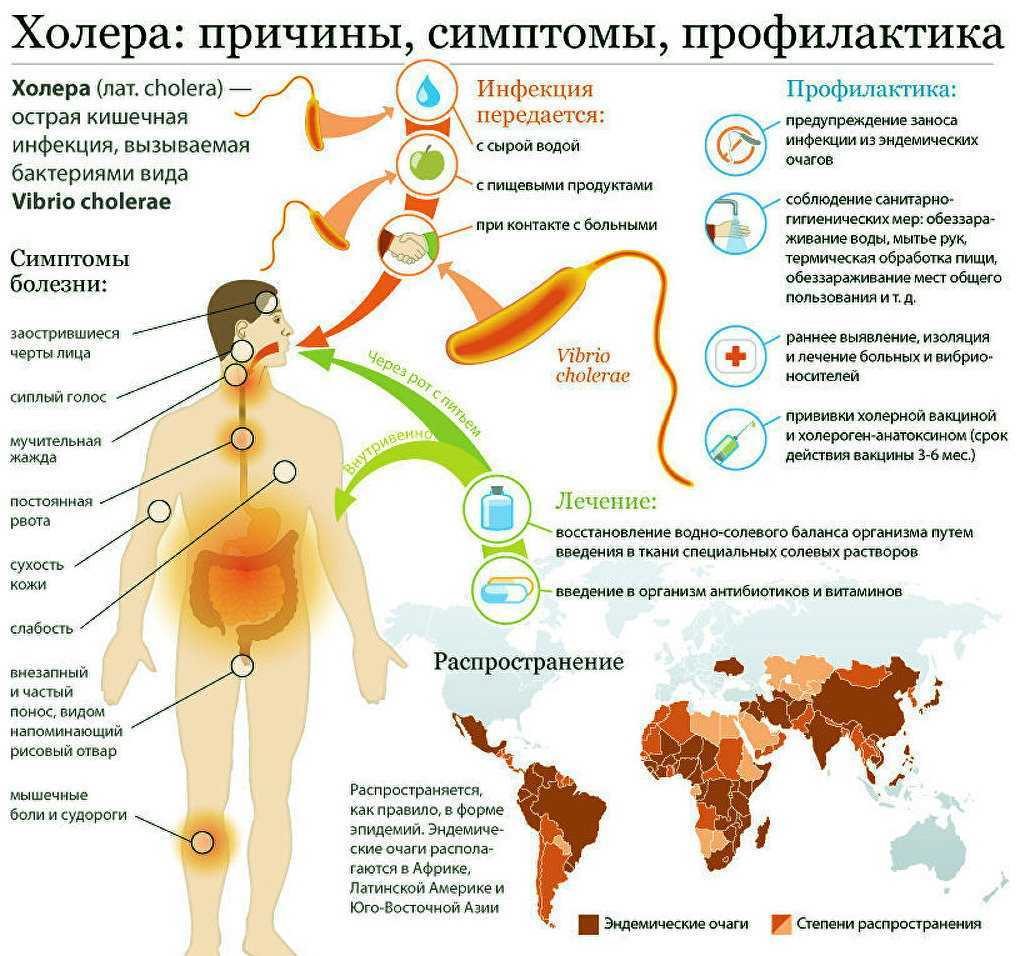 Болезни желчного пузыря: симптомы, диагностика, лечение – эл клиника