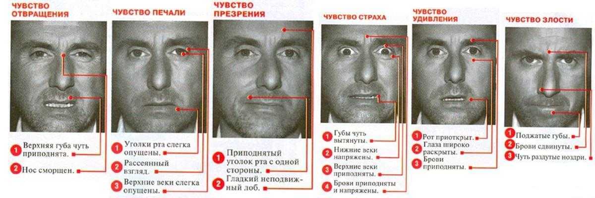 Лоб - показатель ума: что он еще расскажет о вашем характере
