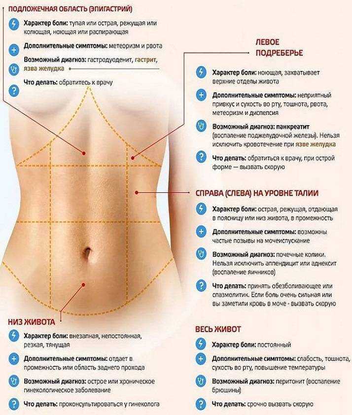 Карта болей в животе у мужчин