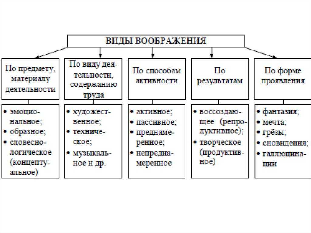 Виды воображения картинки