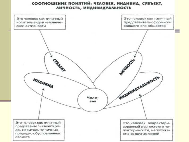 Презентация на тему человек индивид личность взаимосвязь понятий