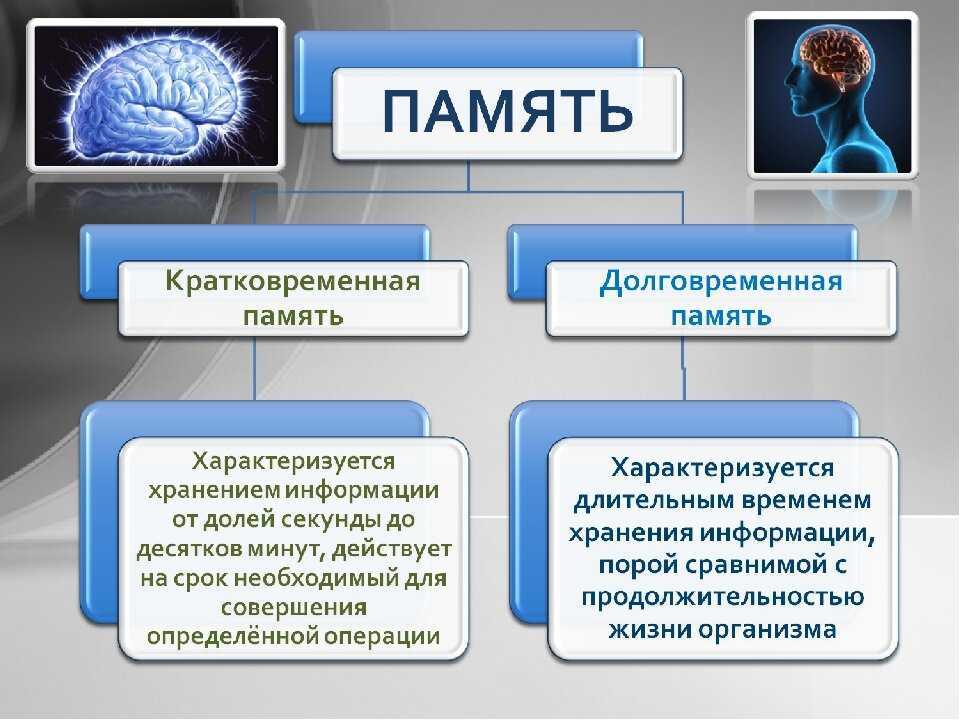 Презентация память и виды памяти