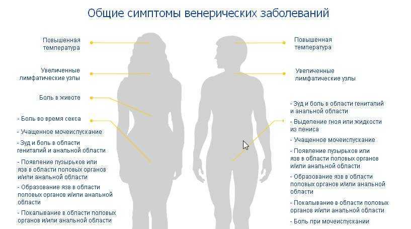 Кто такой невролог - что лечит, проверяет и смотрит невропатолог