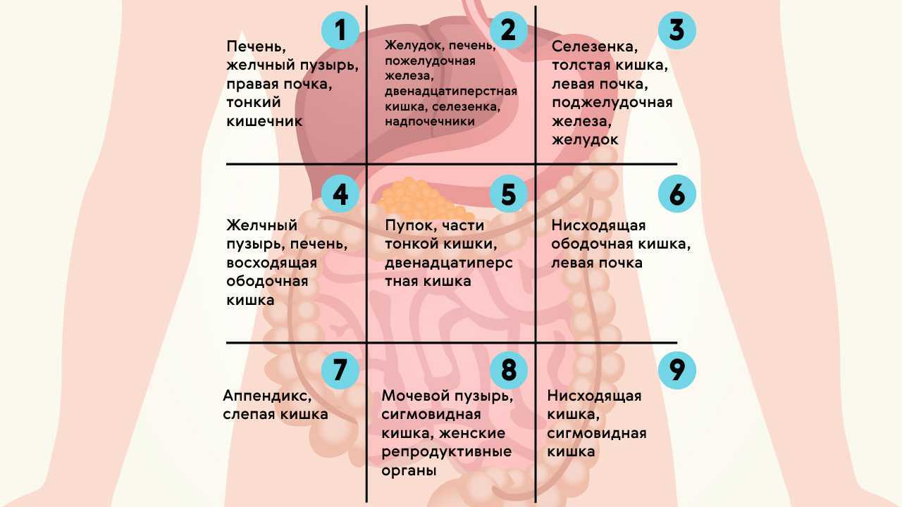 Локализация боли в животе в картинках у мужчин