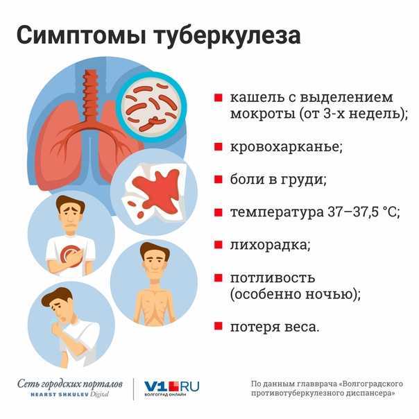 Рентген при туберкулезе легких | eurolab | инфекционные болезни