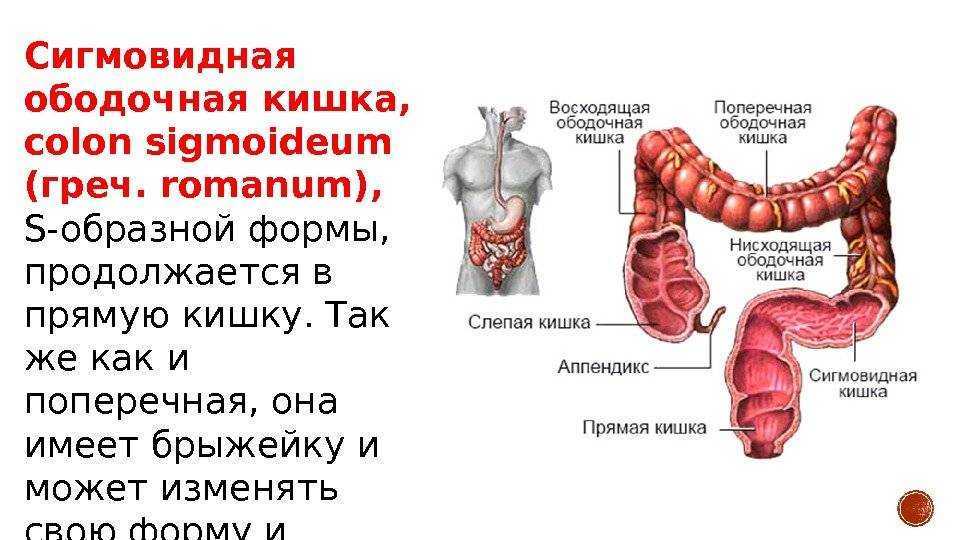 Схема лечения сигмоидита