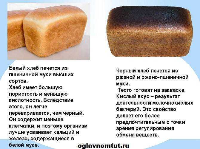 Хлеб: полезные свойства, состав, разновидности и советы по выбору