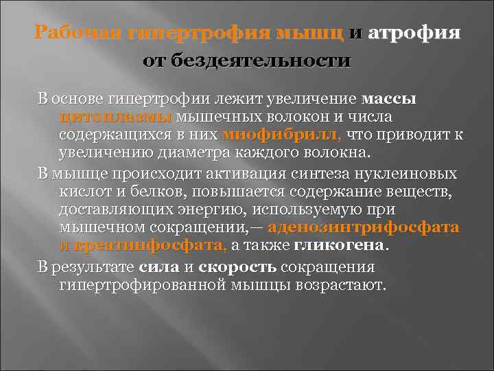 Из чего состоят мышечные волокна?
из чего состоят мышечные волокна?