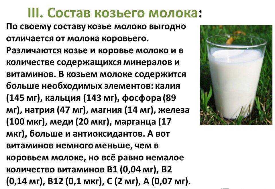 10 причин выбрать козье молоко вместо коровьего