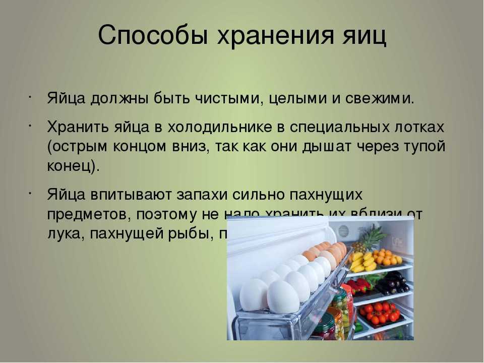 Надо ли мыть куриные яйца – советы для птицеводов — agroxxi